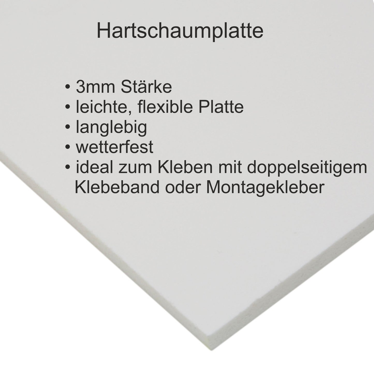 Schild Hundeleine rettet Leben – Vielen Dank