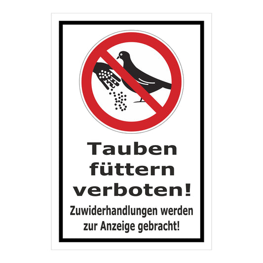 Schild Tauben füttern verboten! Zuwiderhandlungen werden zur Anzeige gebracht! in Weiß mit schwarzem Rand