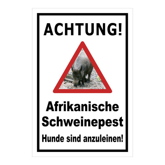 Schild Achtung Afrikanische Schweinepest Hunde sind anzuleinen in Weiß mit schwarzem Rand