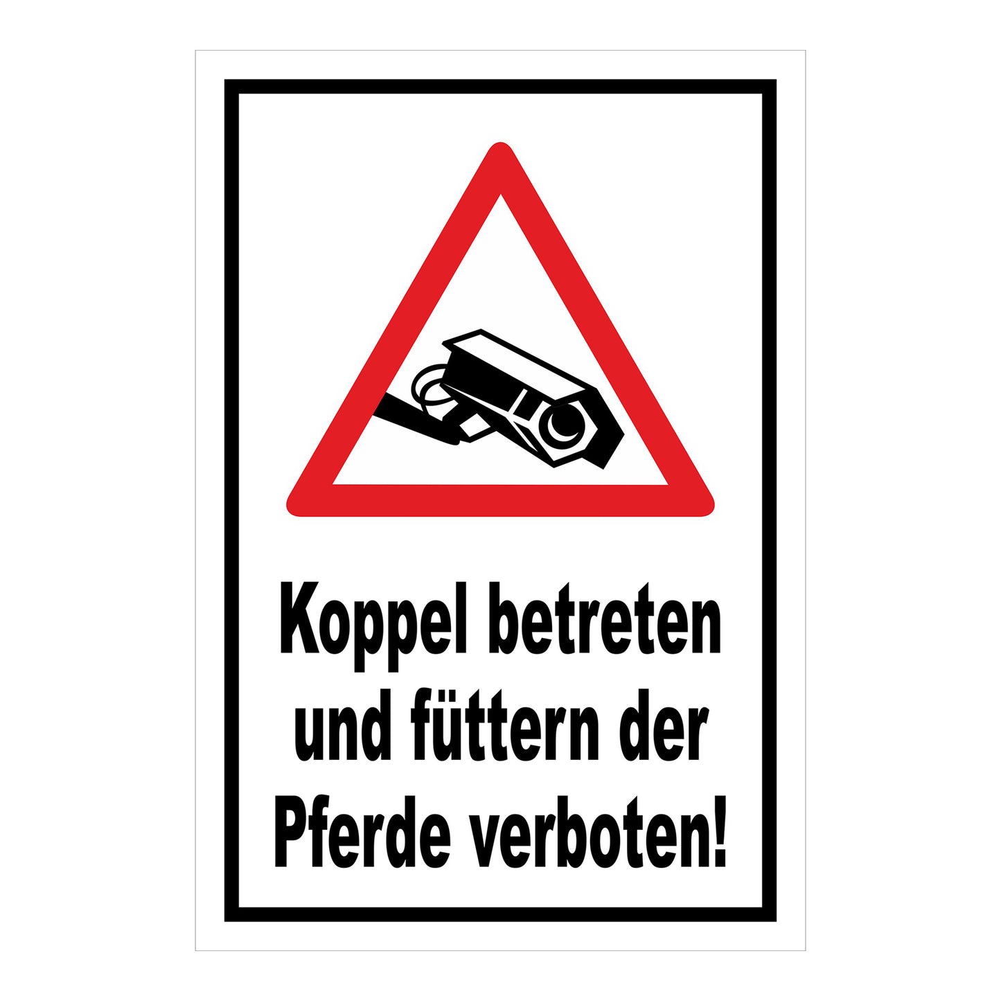 Schild Koppel betreten und Pferde füttern verboten in Weiß mit schwarzem Rand