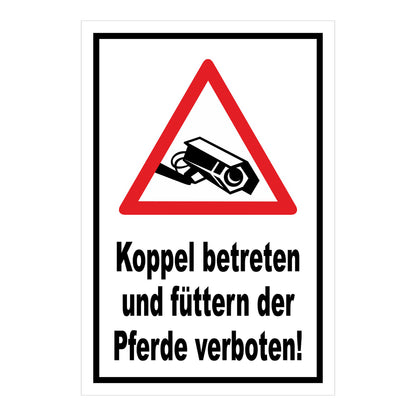Schild Koppel betreten und Pferde füttern verboten in Weiß mit schwarzem Rand