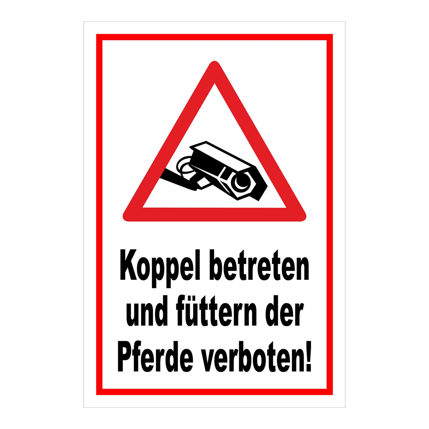 Schild Koppel betreten und Pferde füttern verboten in Weiß mit rotem Rand