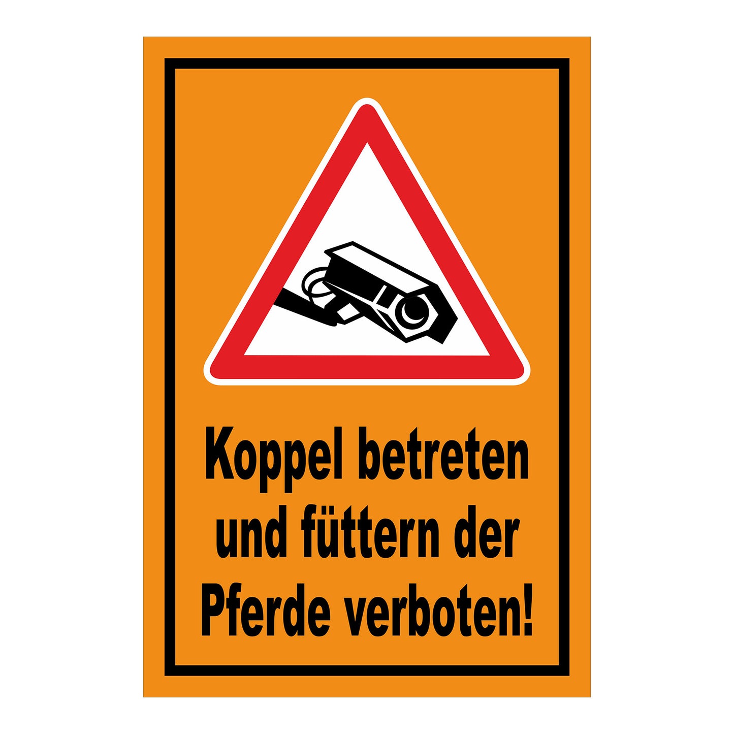 Schild Koppel betreten und Pferde füttern verboten in Orange mit schwarzem Rand