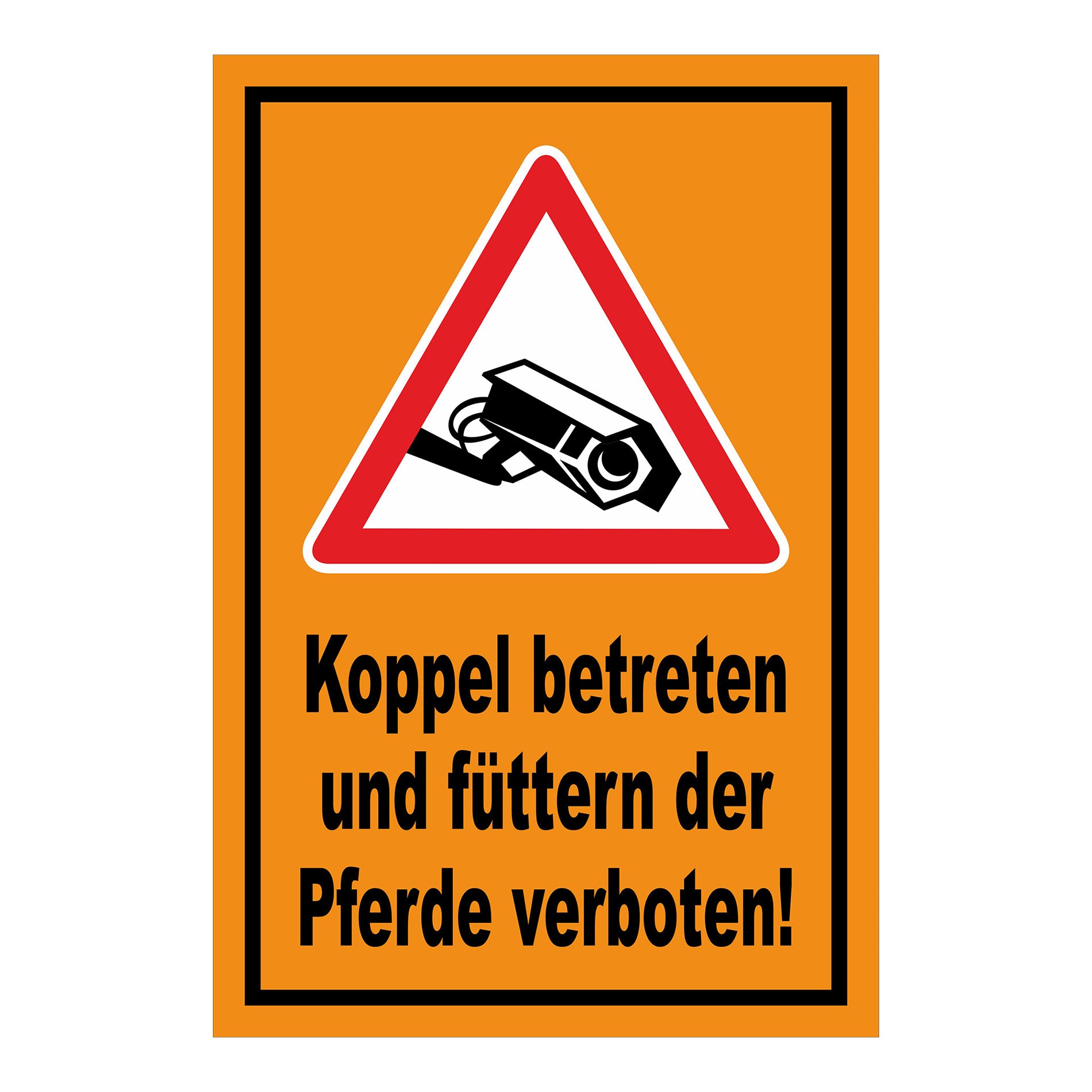 Schild Koppel betreten und Pferde füttern verboten in Orange mit schwarzem Rand