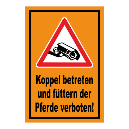 Schild Koppel betreten und Pferde füttern verboten in Orange mit schwarzem Rand