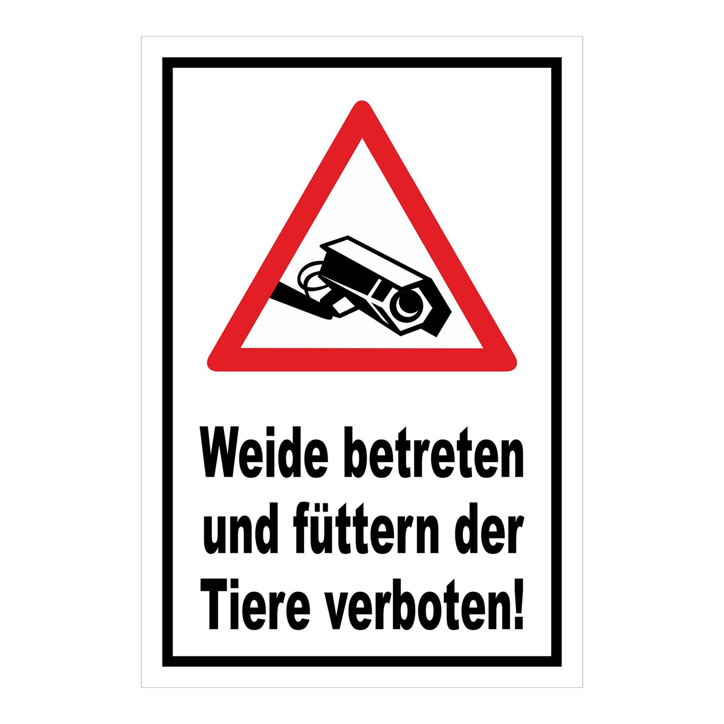 Schild Weide betreten und Tiere füttern verboten in Weiß mit schwarzem Rand