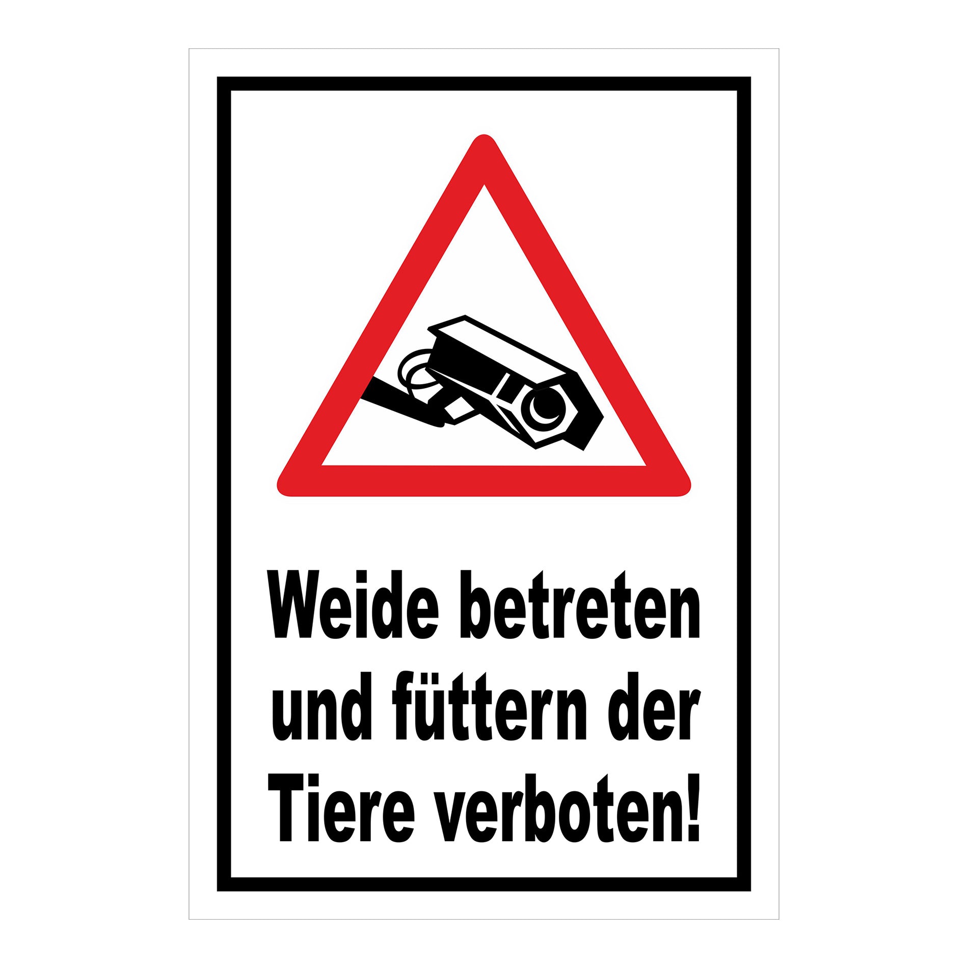 Schild Weide betreten und Tiere füttern verboten in Weiß mit schwarzem Rand