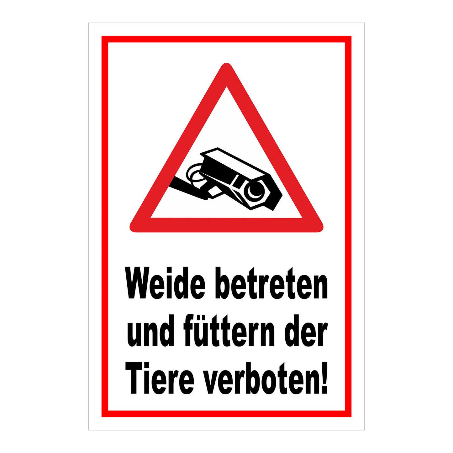 Schild Weide betreten und Tiere füttern verboten in Weiß mit rotem Rand