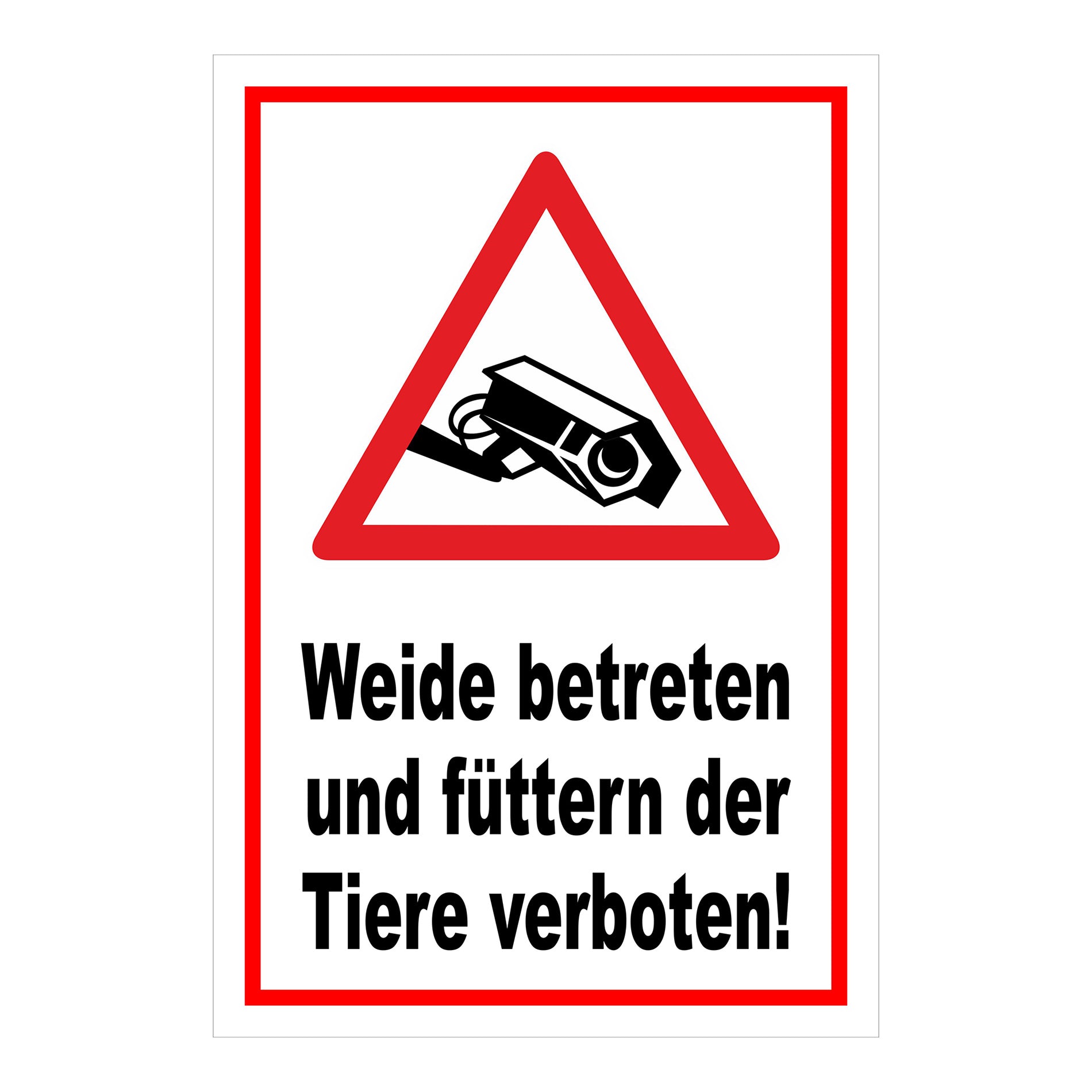 Schild Weide betreten und Tiere füttern verboten in Weiß mit rotem Rand