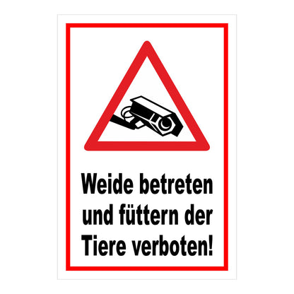 Schild Weide betreten und Tiere füttern verboten in Weiß mit rotem Rand
