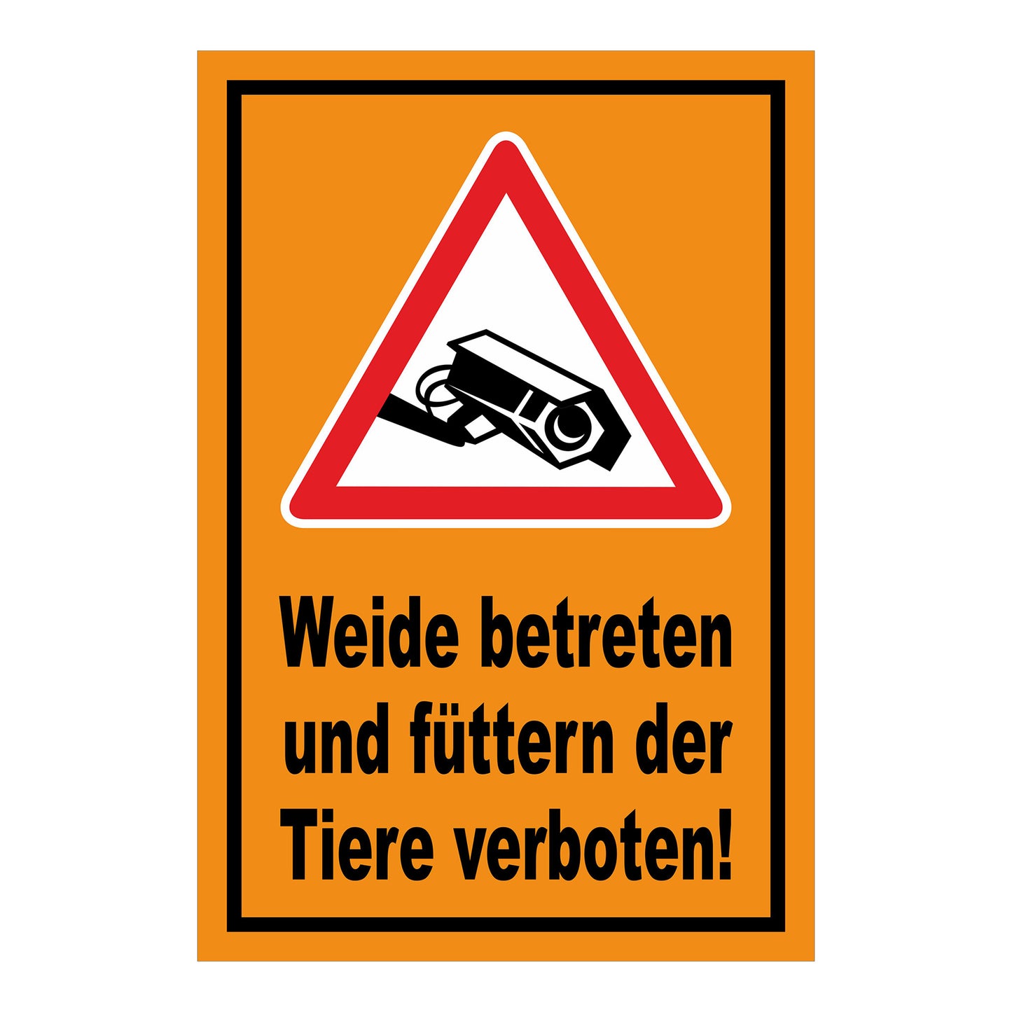 Schild Weide betreten und Tiere füttern verboten in Orange mit schwarzem Rand