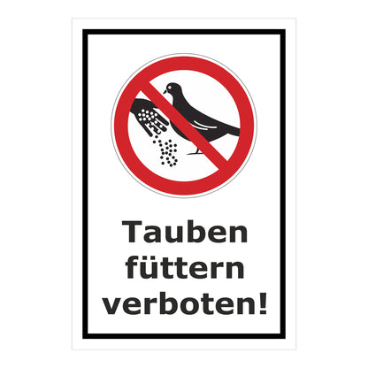 Schild Tauben füttern verboten mit Verbotszeichen in Weiß mit schwarzem Rand