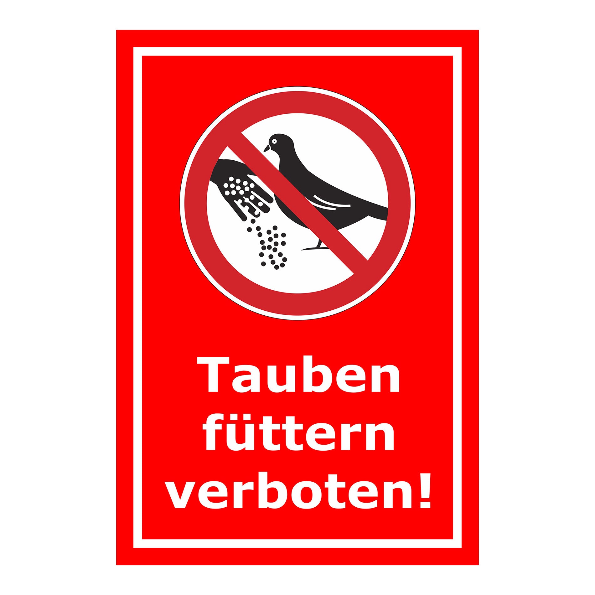 Schild Tauben füttern verboten mit Verbotszeichen in Rot mit weißem Rand