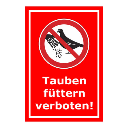 Schild Tauben füttern verboten mit Verbotszeichen in Rot mit weißem Rand