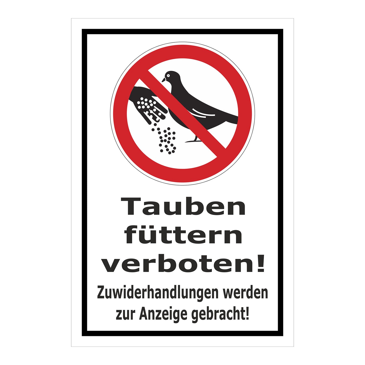 Schild Tauben füttern verboten! Zuwiderhandlungen werden zur Anzeige gebracht! in Weiß mit schwarzem Rand