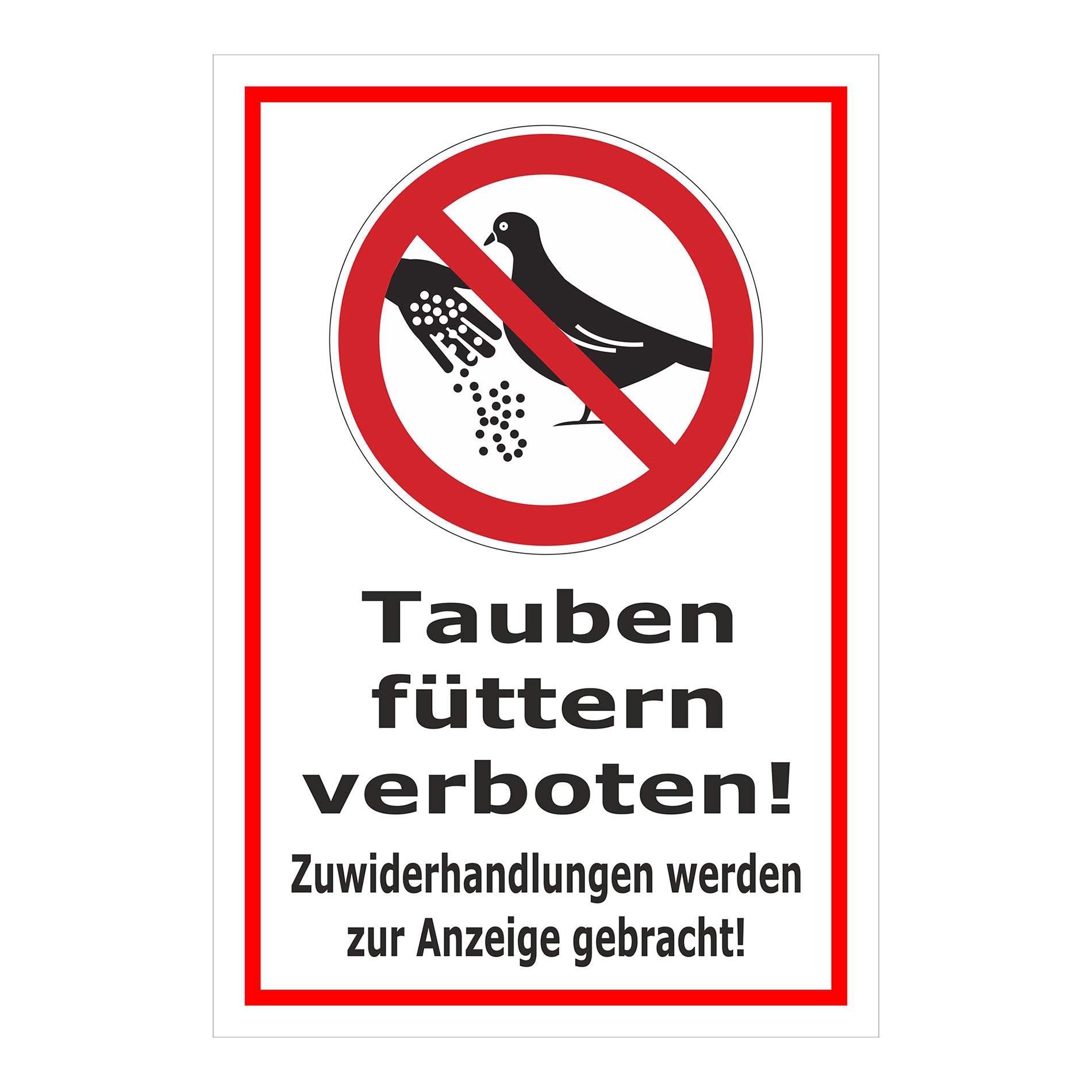 Schild Tauben füttern verboten! Zuwiderhandlungen werden zur Anzeige gebracht! in Weiß mit rotem Rand