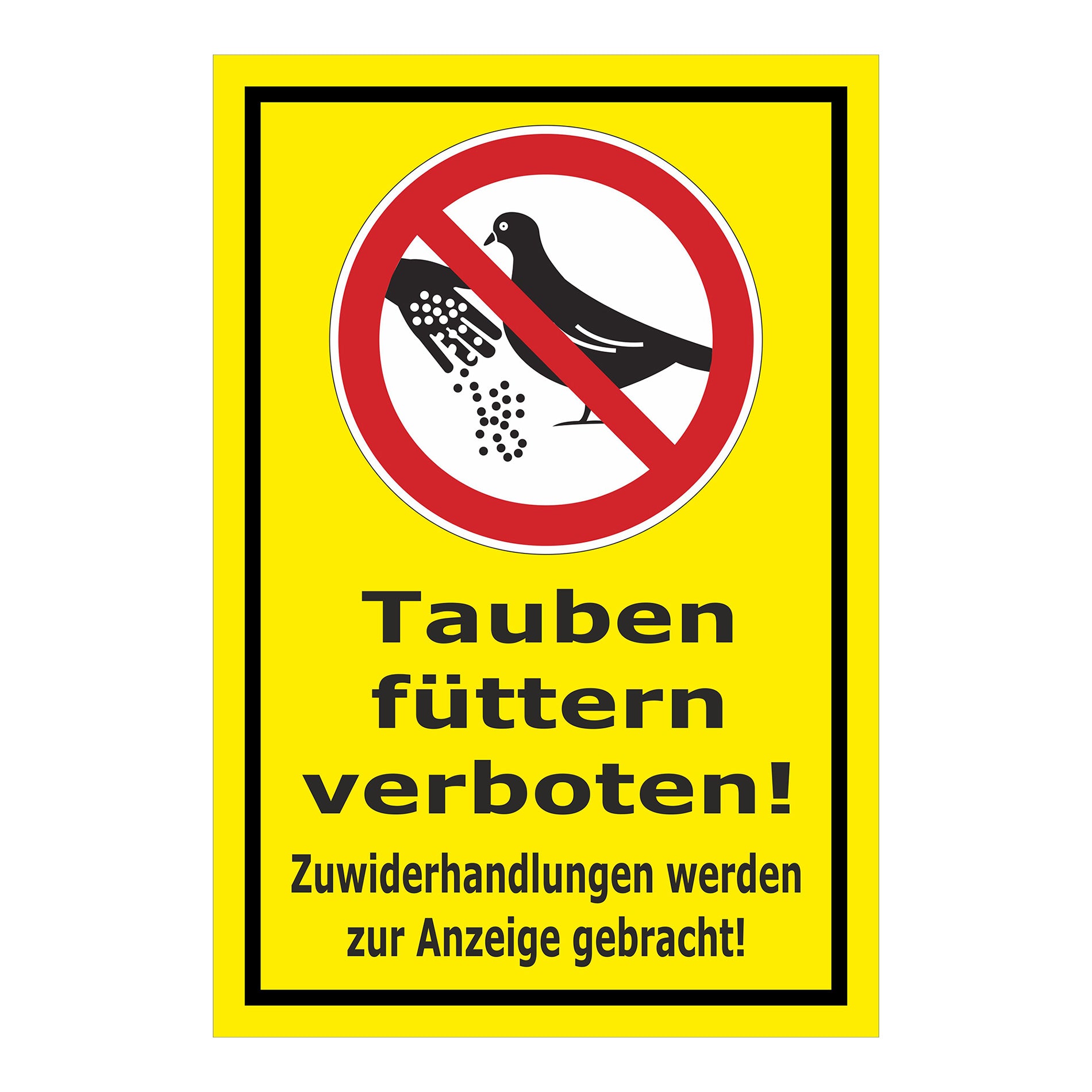 Schild Tauben füttern verboten! Zuwiderhandlungen werden zur Anzeige gebracht! in Gelb mit schwarzem Rand