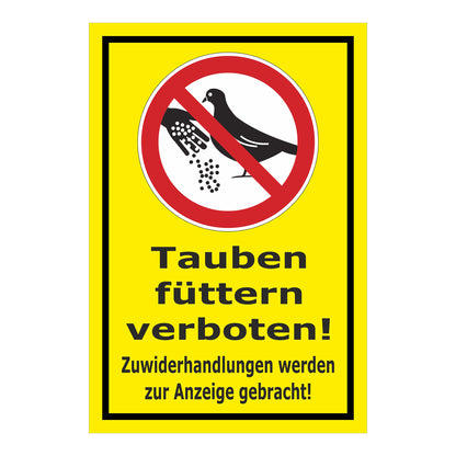 Schild Tauben füttern verboten! Zuwiderhandlungen werden zur Anzeige gebracht! in Gelb mit schwarzem Rand