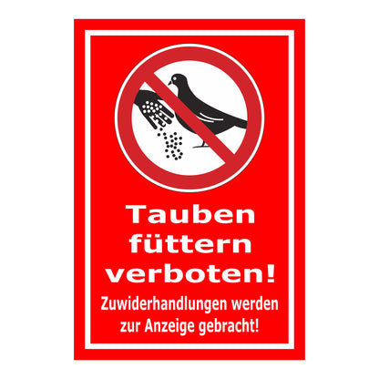 Schild Tauben füttern verboten! Zuwiderhandlungen werden zur Anzeige gebracht! in Rot mit weißem Rand