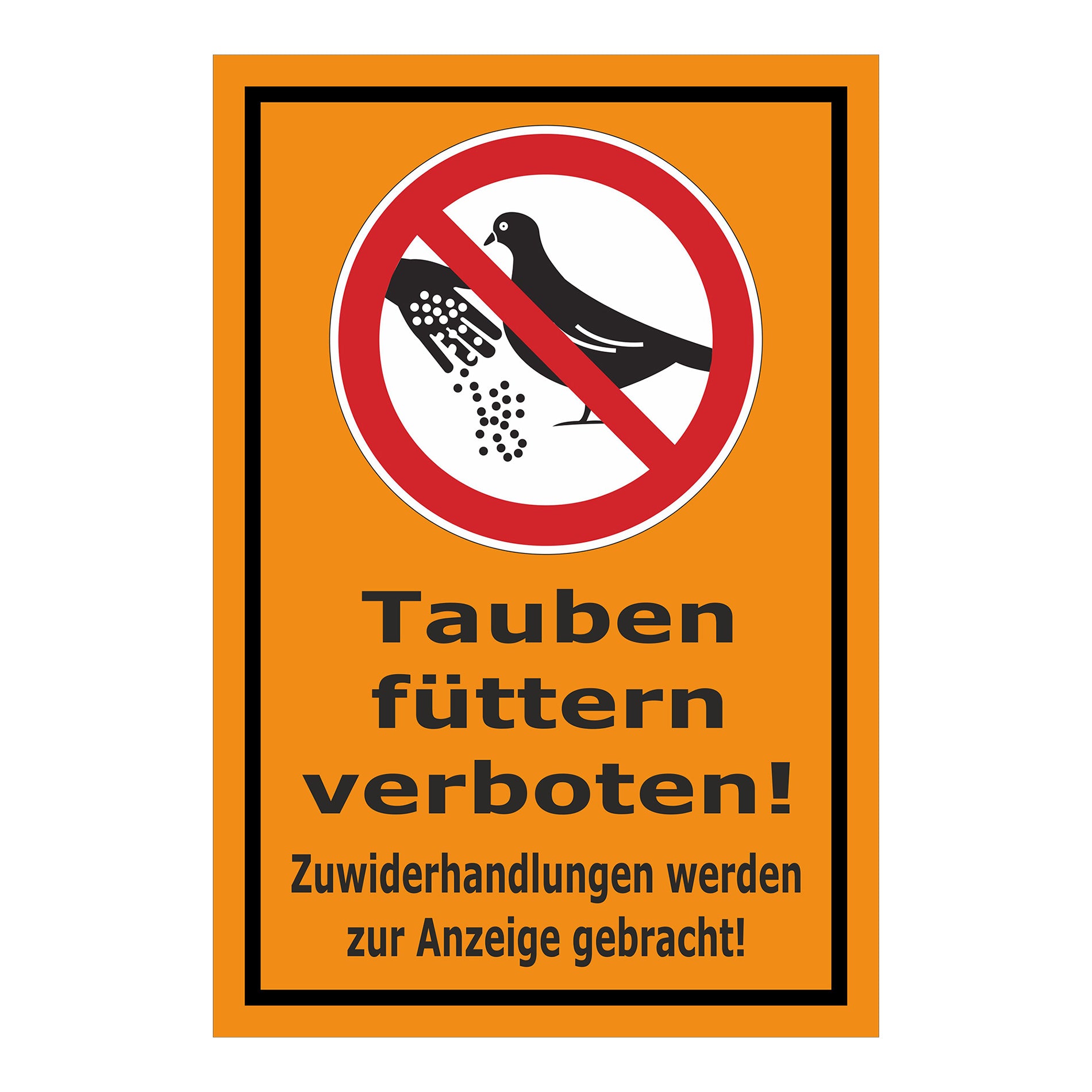 Schild Tauben füttern verboten! Zuwiderhandlungen werden zur Anzeige gebracht! in Orange mit schwarzem Rand