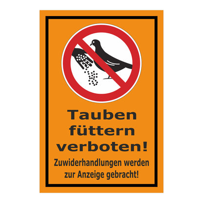 Schild Tauben füttern verboten! Zuwiderhandlungen werden zur Anzeige gebracht! in Orange mit schwarzem Rand