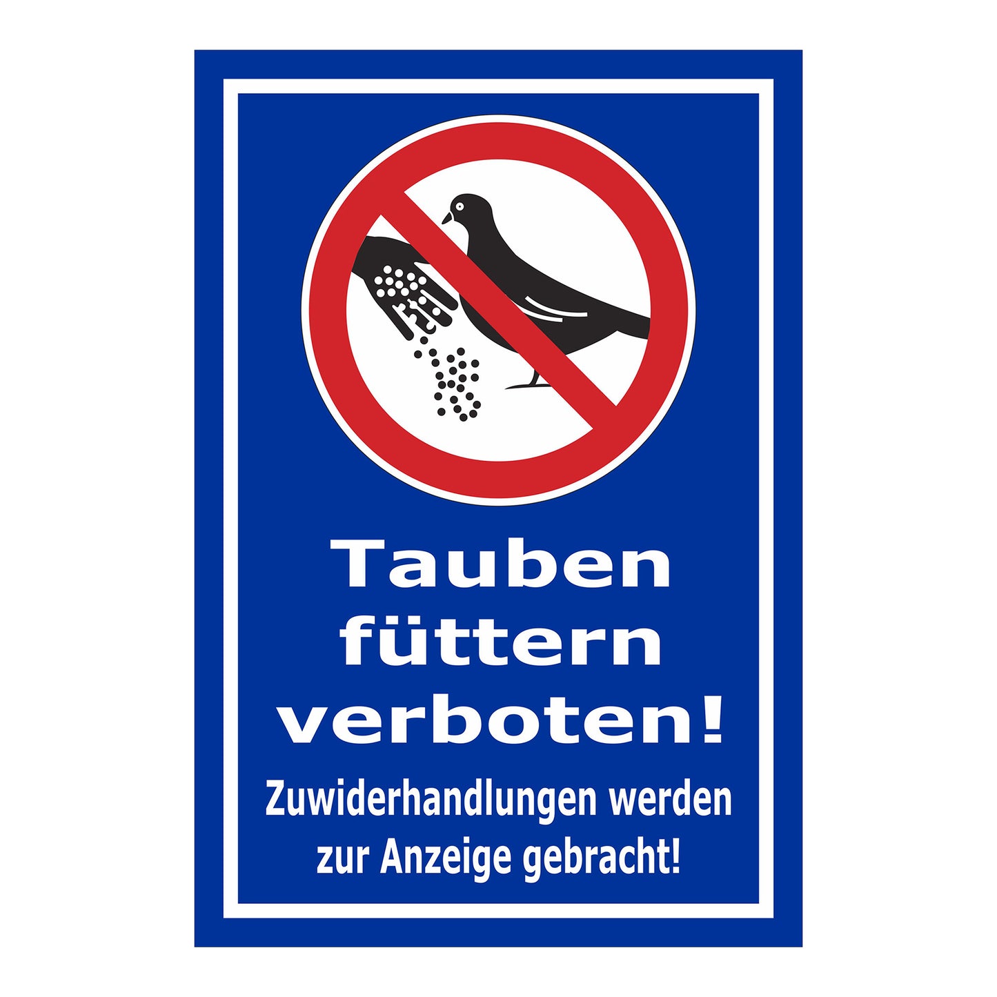 Schild Tauben füttern verboten! Zuwiderhandlungen werden zur Anzeige gebracht! in Blau mit weißem Rand