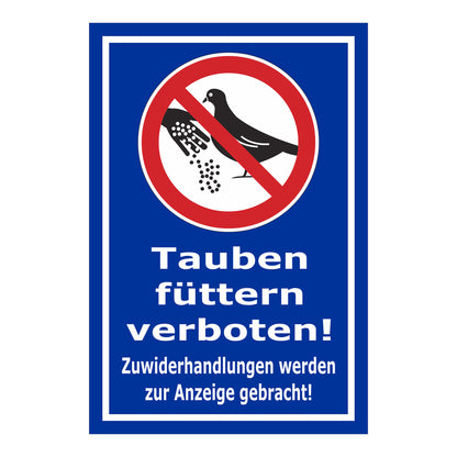 Schild Tauben füttern verboten! Zuwiderhandlungen werden zur Anzeige gebracht! in Blau mit weißem Rand