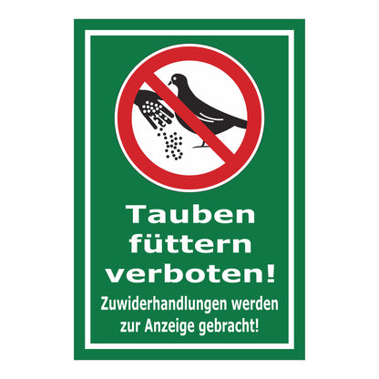 Schild Tauben füttern verboten! Zuwiderhandlungen werden zur Anzeige gebracht! in Grün mit weißem Rand