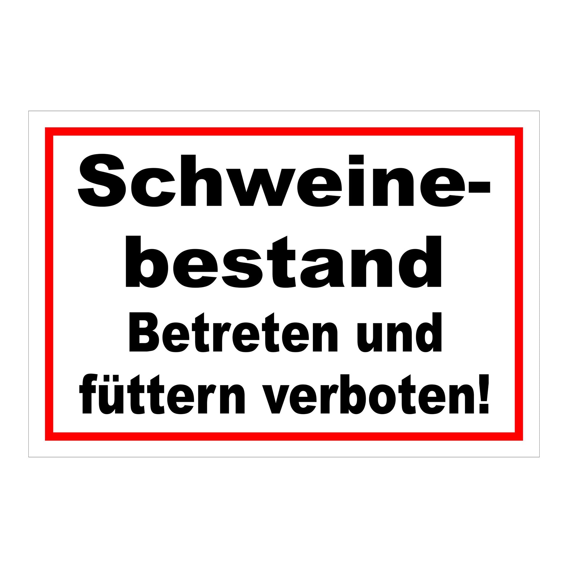 Schild Schweinebestand Betreten und füttern verboten Hinweis in Weiß mit schwarzer Schrift und rotem Rand