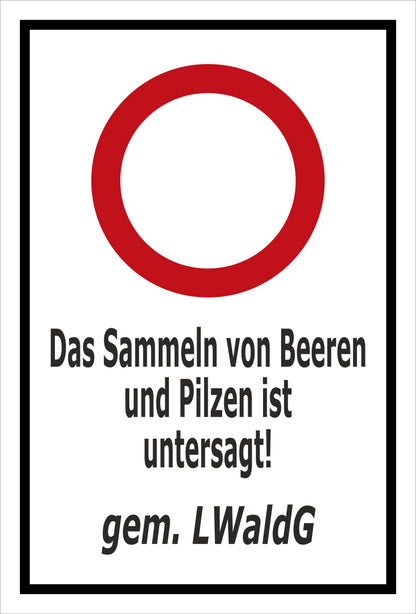 Schild Das Sammeln von Beeren und Pilzen ist untersagt gem. LWaldG weiß schwarzer Rahmen roter Verbotsring