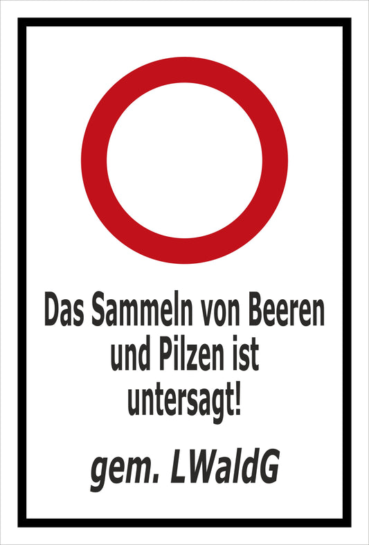 Schild Das Sammeln von Beeren und Pilzen ist untersagt gem. LWaldG weiß schwarzer Rahmen roter Verbotsring