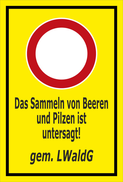 Schild Das Sammeln von Beeren und Pilzen ist untersagt gem. LWaldG in gelb