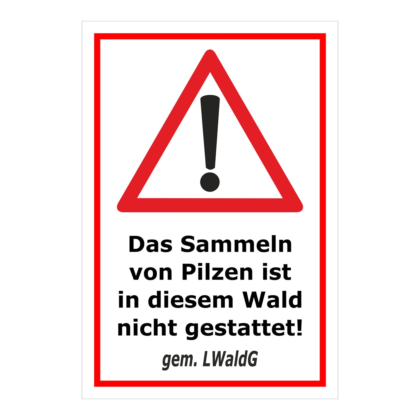 Schild Pilze sammeln verboten – Hinweis Waldgebiet ‚Das Sammeln von Pilzen ist in diesem Wald nicht gestattet! gem. LWaldG‘ in weiß mit rotem Rand