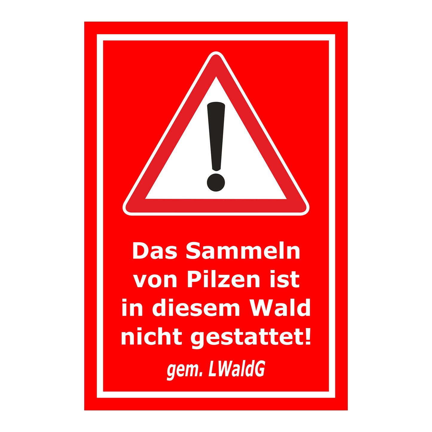 Schild Pilze sammeln verboten – Hinweis Waldgebiet ‚Das Sammeln von Pilzen ist in diesem Wald nicht gestattet! gem. LWaldG‘ in rot mit weißem Rand
