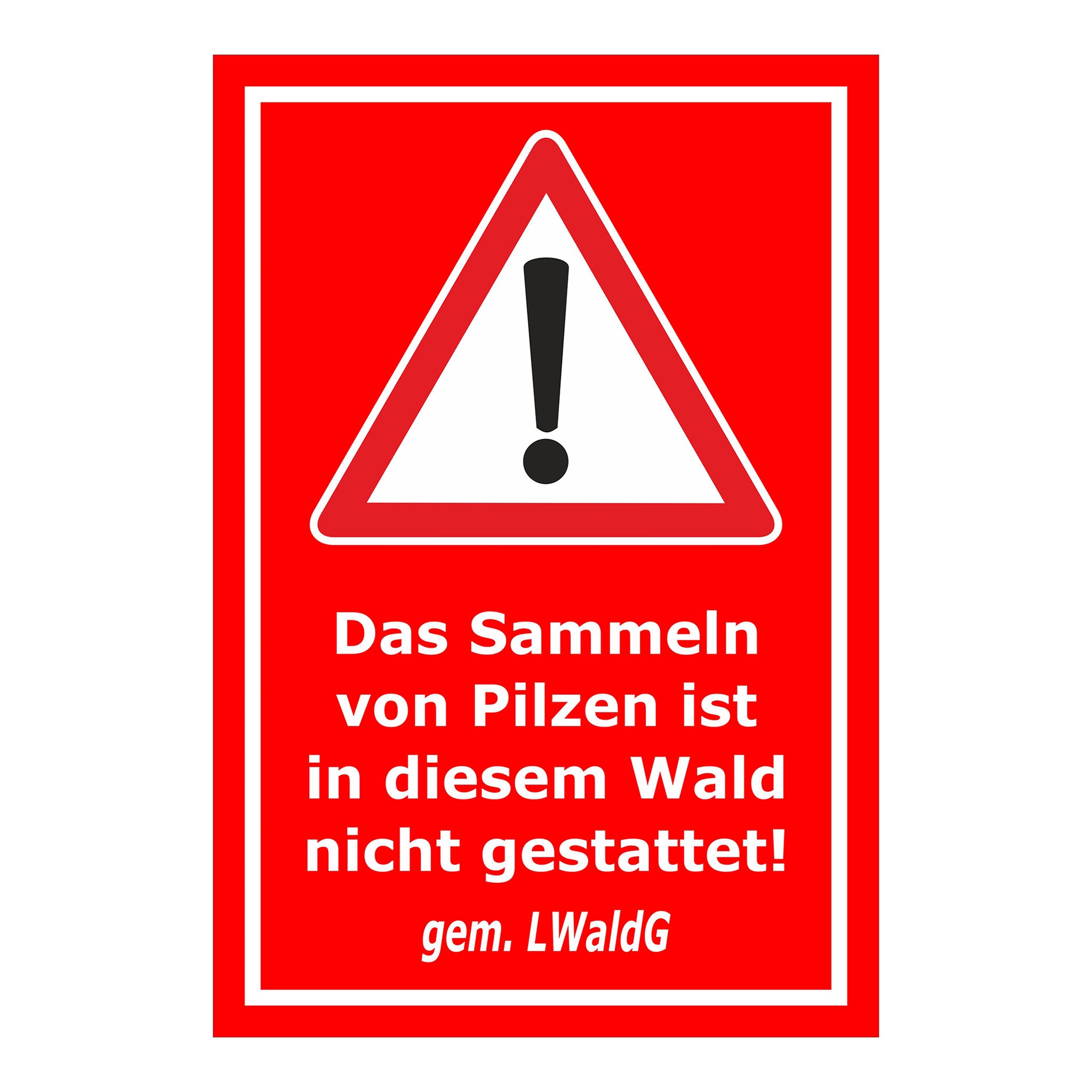 Schild Pilze sammeln verboten – Hinweis Waldgebiet ‚Das Sammeln von Pilzen ist in diesem Wald nicht gestattet! gem. LWaldG‘ in rot mit weißem Rand
