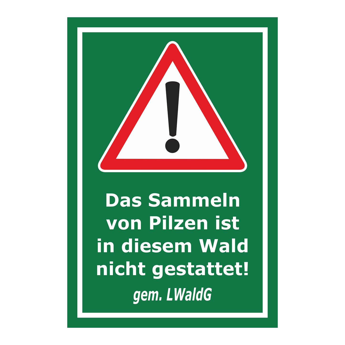 Schild Pilze sammeln verboten – Hinweis Waldgebiet ‚Das Sammeln von Pilzen ist in diesem Wald nicht gestattet! gem. LWaldG‘ in grün mit weißem Rand