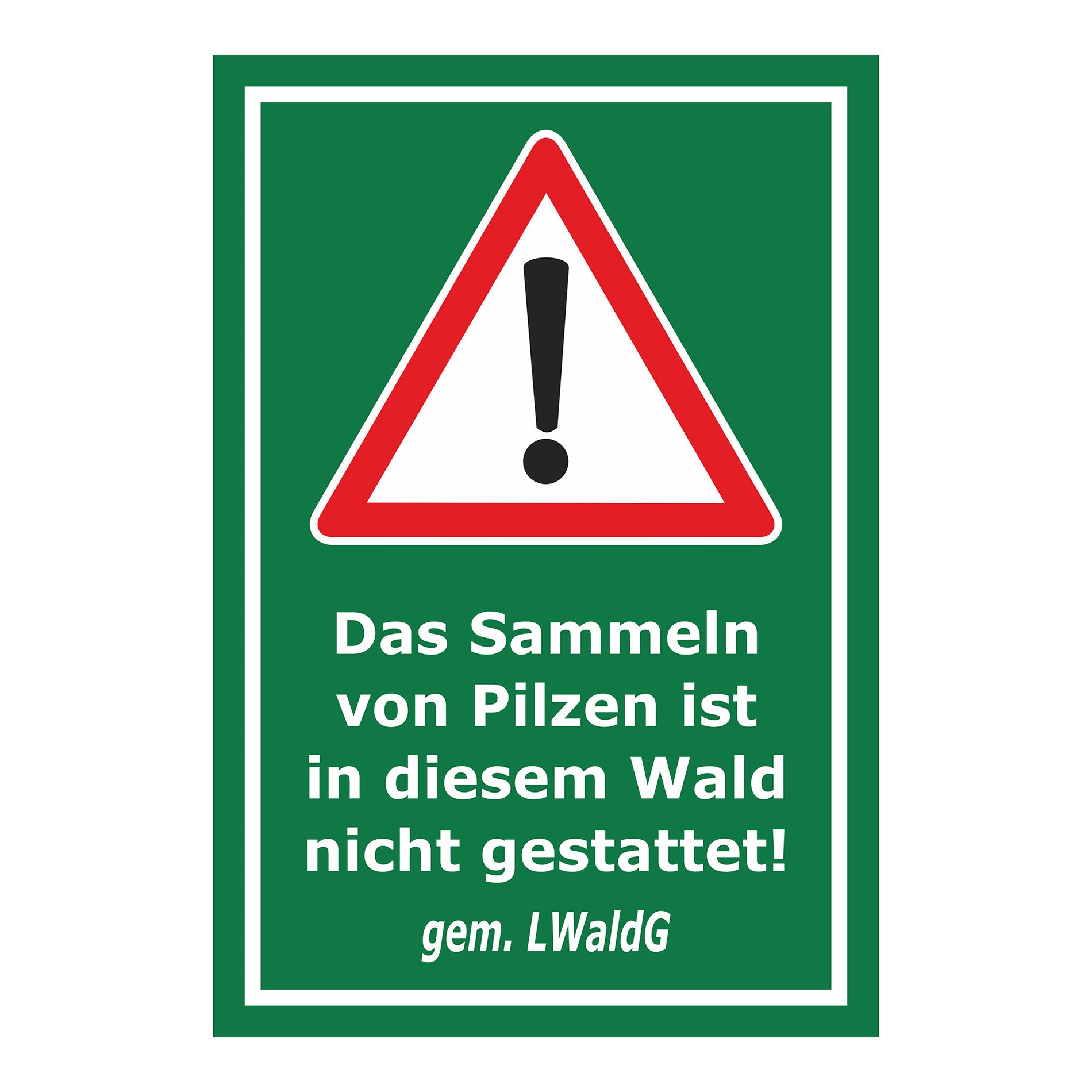 Schild Pilze sammeln verboten – Hinweis Waldgebiet ‚Das Sammeln von Pilzen ist in diesem Wald nicht gestattet! gem. LWaldG‘ in grün mit weißem Rand
