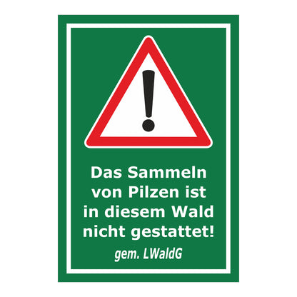 Schild Pilze sammeln verboten – Hinweis Waldgebiet ‚Das Sammeln von Pilzen ist in diesem Wald nicht gestattet! gem. LWaldG‘ in grün mit weißem Rand