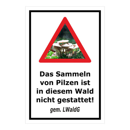 Schild Pilzesammeln verboten – Hinweis nach Landeswaldgesetz ‚Das Sammeln von Pilzen ist in diesem Wald nicht gestattet! gem. LWaldG‘ in weiß mit schwarzem Rahmen
