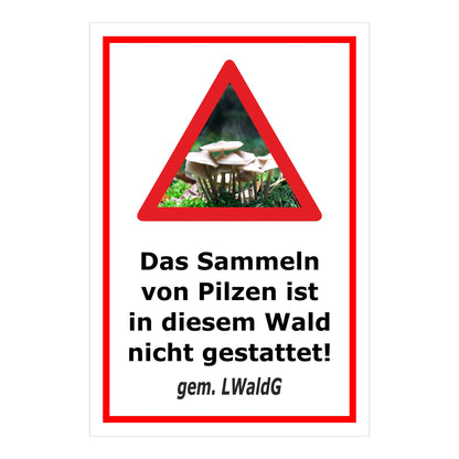 Schild Pilzesammeln verboten – Hinweis nach Landeswaldgesetz ‚Das Sammeln von Pilzen ist in diesem Wald nicht gestattet! gem. LWaldG‘ in weiß mit rotem Rahmen