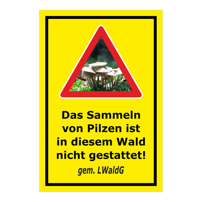 child Pilzesammeln verboten – Hinweis nach Landeswaldgesetz ‚Das Sammeln von Pilzen ist in diesem Wald nicht gestattet! gem. LWaldG‘ in gelb mit schwarzem Rahmen
