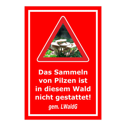Schild Pilzesammeln verboten – Hinweis nach Landeswaldgesetz ‚Das Sammeln von Pilzen ist in diesem Wald nicht gestattet! gem. LWaldG‘ in rot mit weißer Schrift