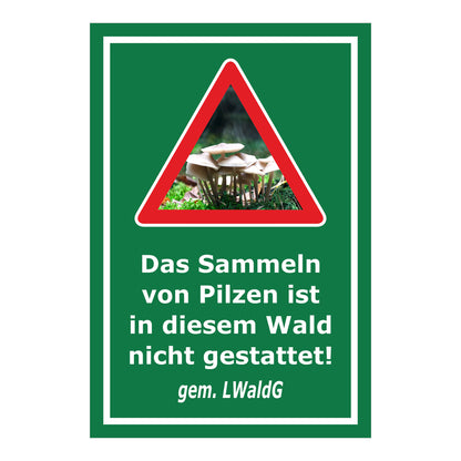 Schild Pilzesammeln verboten – Hinweis nach Landeswaldgesetz ‚Das Sammeln von Pilzen ist in diesem Wald nicht gestattet! gem. LWaldG‘ in grün mit weißer Schrift