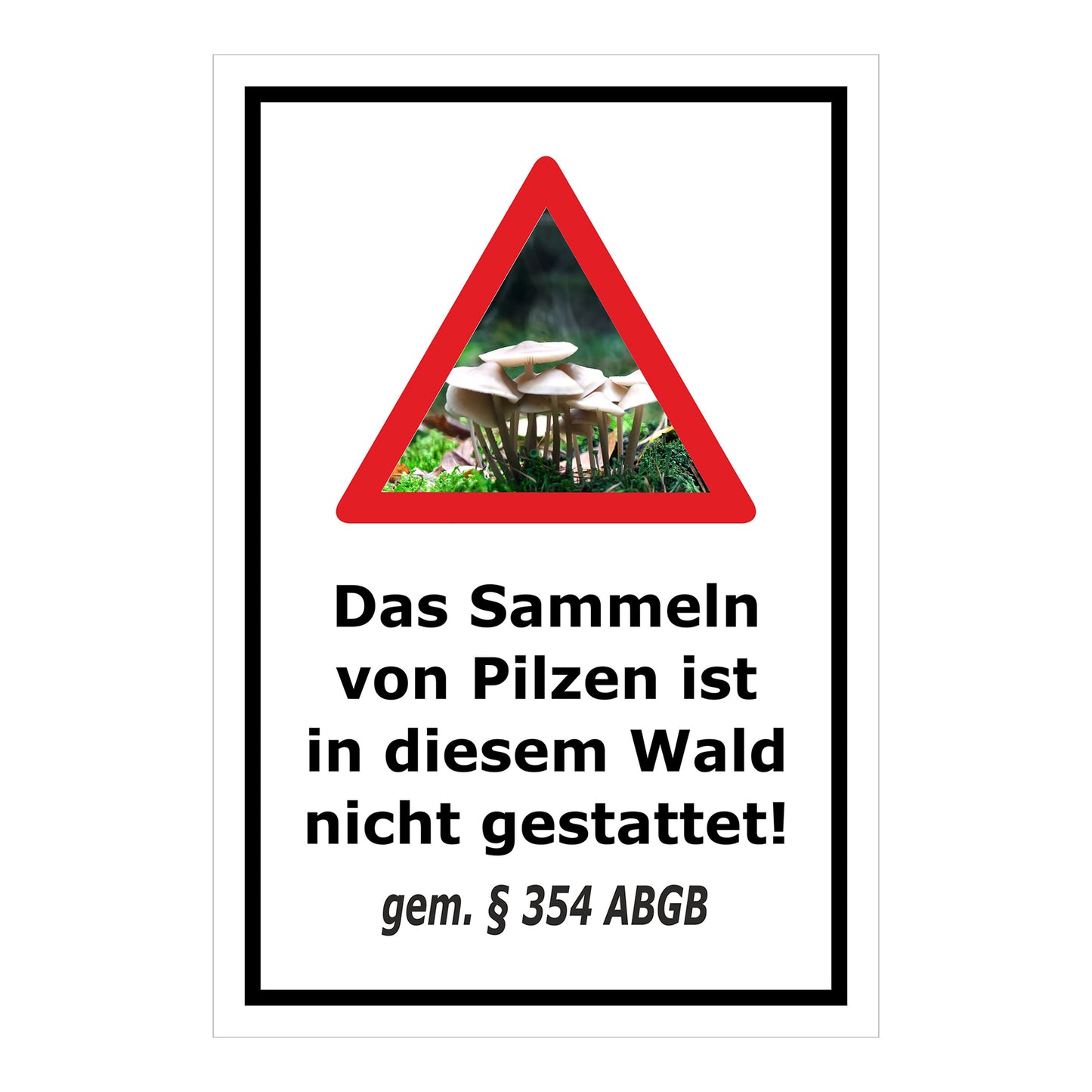 Schild Pilzesammeln verboten – Hinweis nach ABGB ‚Das Sammeln von Pilzen ist in diesem Wald nicht gestattet! gem. § 354 ABGB‘ in weiß mit schwarzem Rahmen