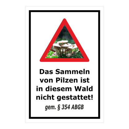 Schild Pilzesammeln verboten – Hinweis nach ABGB ‚Das Sammeln von Pilzen ist in diesem Wald nicht gestattet! gem. § 354 ABGB‘ in weiß mit schwarzem Rahmen