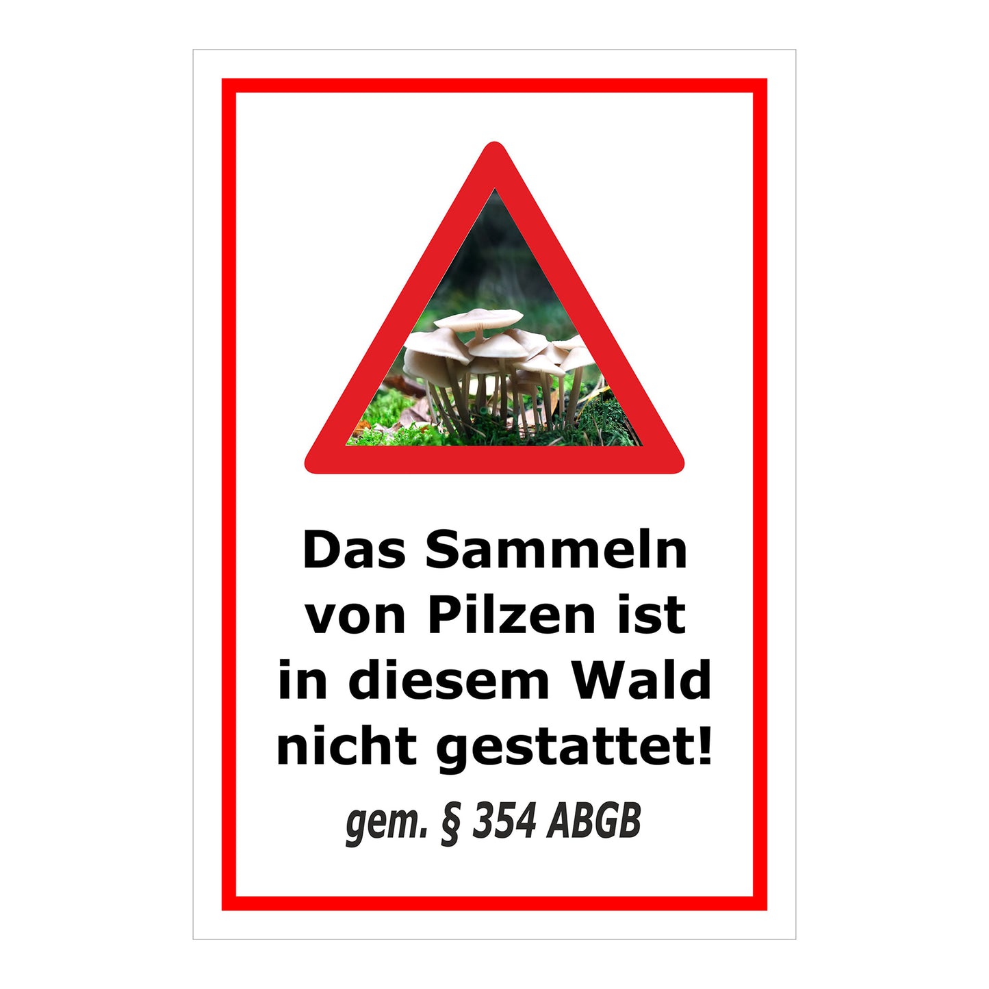 Schild Pilzesammeln verboten – Hinweis nach ABGB ‚Das Sammeln von Pilzen ist in diesem Wald nicht gestattet! gem. § 354 ABGB‘ in weiß mit rotem Rahmen