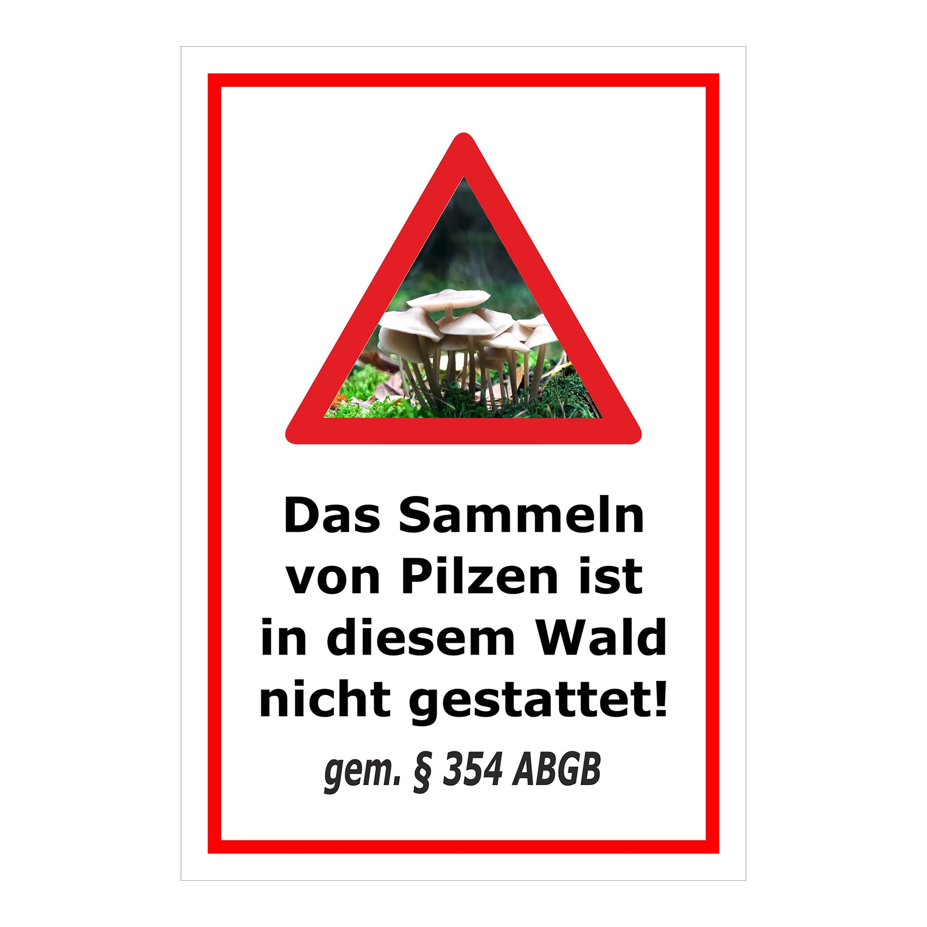 Schild Pilzesammeln verboten – Hinweis nach ABGB ‚Das Sammeln von Pilzen ist in diesem Wald nicht gestattet! gem. § 354 ABGB‘ in weiß mit rotem Rahmen