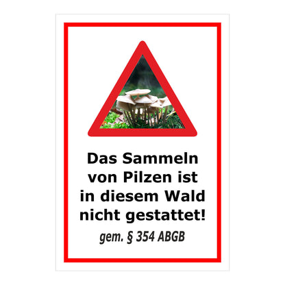 Schild Pilzesammeln verboten – Hinweis nach ABGB ‚Das Sammeln von Pilzen ist in diesem Wald nicht gestattet! gem. § 354 ABGB‘ in weiß mit rotem Rahmen