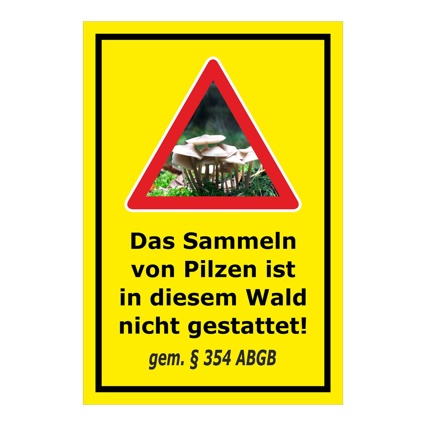 Schild Pilzesammeln verboten – Hinweis nach ABGB ‚Das Sammeln von Pilzen ist in diesem Wald nicht gestattet! gem. § 354 ABGB‘ in gelb mit schwarzem Rahmen
