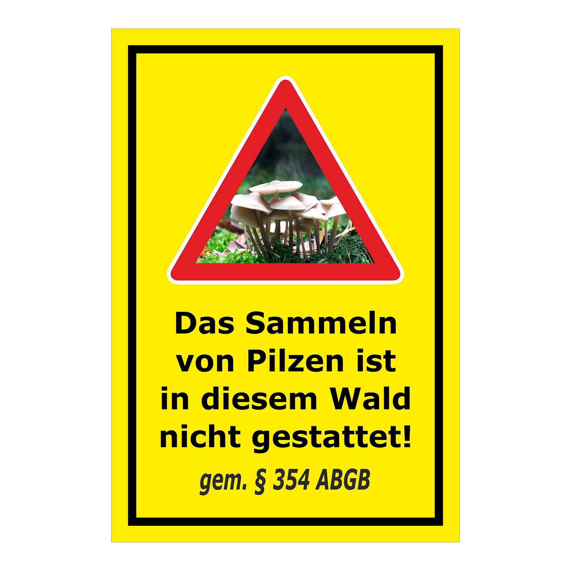 Schild Pilzesammeln verboten – Hinweis nach ABGB ‚Das Sammeln von Pilzen ist in diesem Wald nicht gestattet! gem. § 354 ABGB‘ in gelb mit schwarzem Rahmen